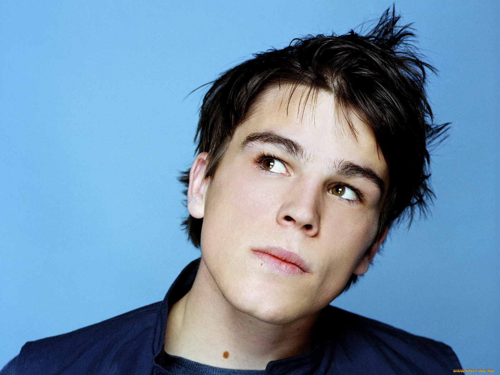 josh, hartnett, 